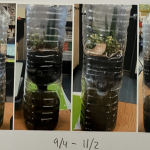 Screenshot 2025-11-23 at 8.17.36 PM