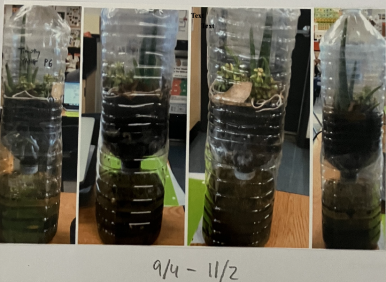 Screenshot 2025-11-23 at 8.17.36 PM