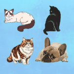 Screenshot 2026-01-27 at 9.41.18 AM