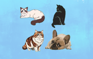 Screenshot 2026-01-27 at 9.41.18 AM