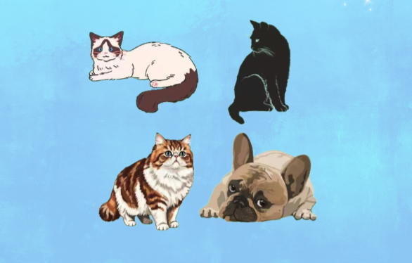 Screenshot 2026-01-27 at 9.41.18 AM