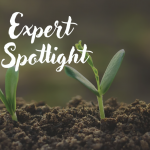 Expert Spotlight