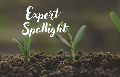 Expert Spotlight