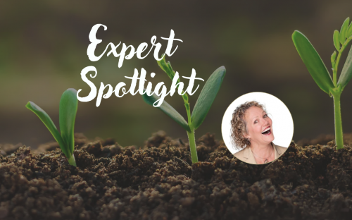 Screenshot 2026-02-24 at 7.10.29 PM