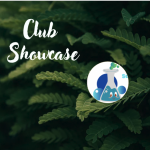 Screenshot 2026-03-24 at 9.55.01 PM