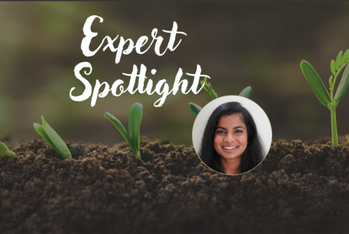 Screenshot 2026-03-20 at 8.03.48 AM