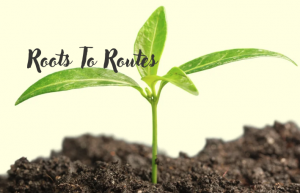 Roots To Routes
