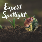 Screenshot 2026-04-01 at 4.52.41 PM