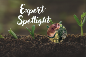 Screenshot 2026-04-01 at 4.52.41 PM