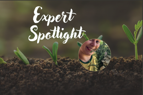 Screenshot 2026-04-01 at 4.52.41 PM