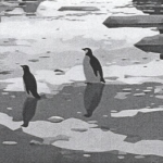 Screenshot 2026-04-04 at 5.12.44 PM