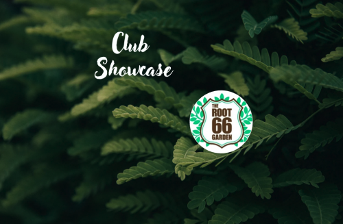 Screenshot 2026-04-06 at 4.07.03 PM